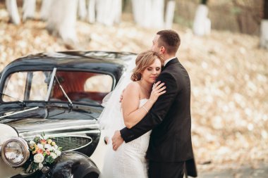 Şık düğün çift, Gelin, damat öpüşme ve retro arabanın yakınında sonbaharda sarılma