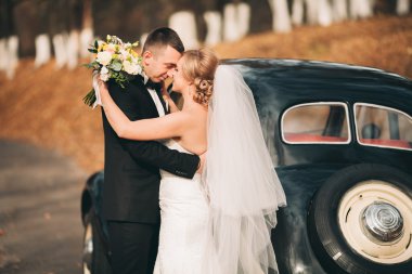 Şık düğün çift, Gelin, damat öpüşme ve retro arabanın yakınında sonbaharda sarılma