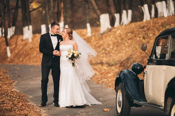 Elegante pareja de boda, novia, novio besándose y abrazándose cerca de coche retro en otoño — Foto de Stock