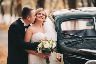 Şık düğün çift, Gelin, damat öpüşme ve retro arabanın yakınında sonbaharda sarılma
