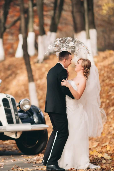 スタイリッシュな結婚式、花嫁、新郎のキスと秋にレトロな車の近くハグ — ストック写真