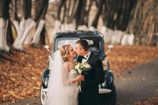 Elegant bröllop par, bruden, brudgummen kyssas och kramas nära retro bil under hösten — Stockfoto