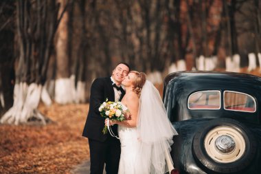 Şık düğün çift, Gelin, damat öpüşme ve retro arabanın yakınında sonbaharda sarılma