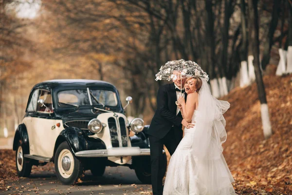 Elegante pareja de boda, novia, novio besándose y abrazándose cerca de coche retro en otoño —  Fotos de Stock