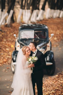 Şık düğün çift, Gelin, damat öpüşme ve retro arabanın yakınında sonbaharda sarılma