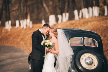 Şık düğün çift, Gelin, damat öpüşme ve retro arabanın yakınında sonbaharda sarılma