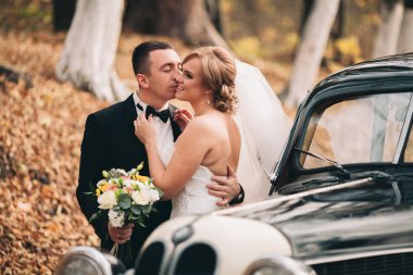 Şık düğün çift, Gelin, damat öpüşme ve retro arabanın yakınında sonbaharda sarılma