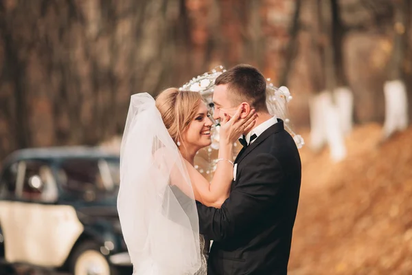 Élégant couple de mariage, mariée, marié baisers et câlins près de voiture rétro en automne — Photo