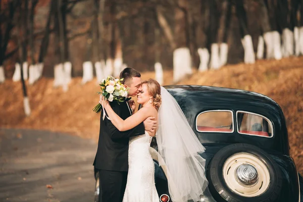 Élégant couple de mariage, mariée, marié baisers et câlins près de voiture rétro en automne — Photo