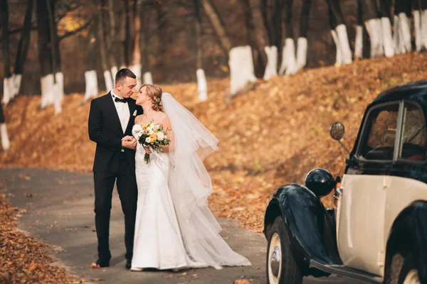Κομψό γαμήλιο ζεύγος, νύφη, γαμπρός φιλί και αγκαλιάζει κοντά ρετρό αυτοκίνητο το φθινόπωρο — Φωτογραφία Αρχείου