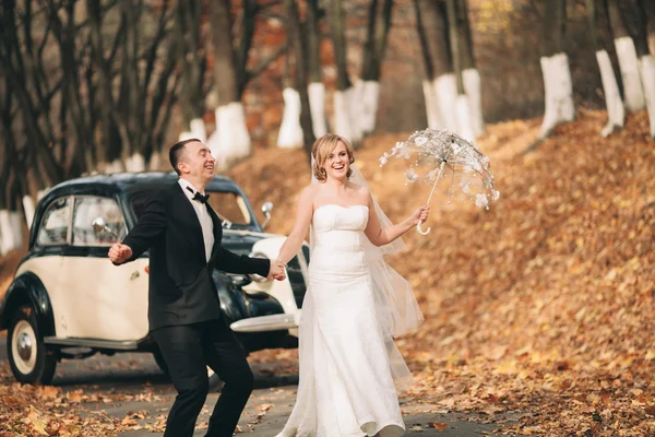 Casal de casamento elegante, noiva, noivo beijando e abraçando perto de carro retro no outono — Fotografia de Stock