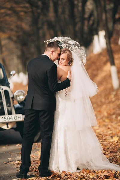 Élégant couple de mariage, mariée, marié baisers et câlins près de voiture rétro en automne — Photo