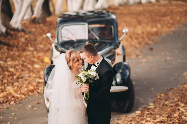 Stylish wedding couple, bride, groom kissing and hugging near retro car in autumn — Stock Photo, Image