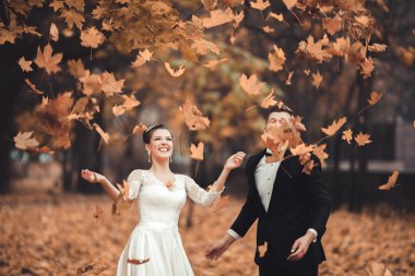 Lüks düğün çift, gelin ve damat park sonbaharda poz evli