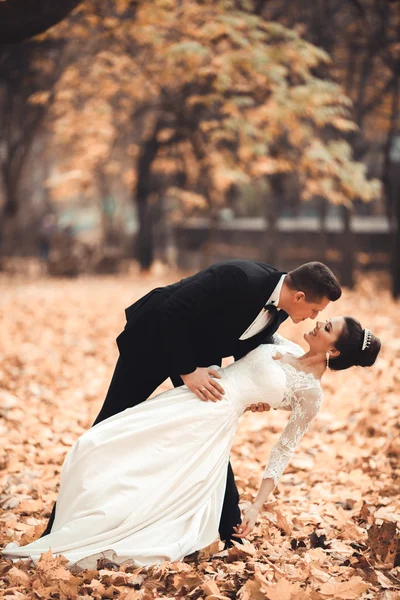 Couple de mariage marié de luxe, mariée et marié posant dans le parc automne — Photo