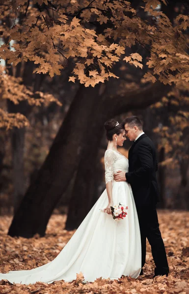 Kemewahan menikah dengan pasangan, pengantin pria dan wanita berpose di taman musim gugur — Stok Foto