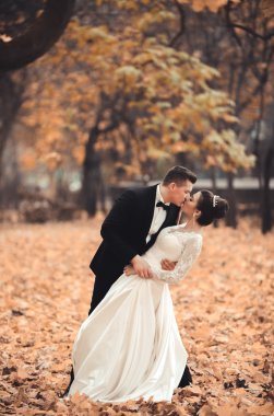 Lüks düğün çift, gelin ve damat park sonbaharda poz evli