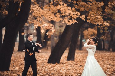 Lüks düğün çift, gelin ve damat park sonbaharda poz evli