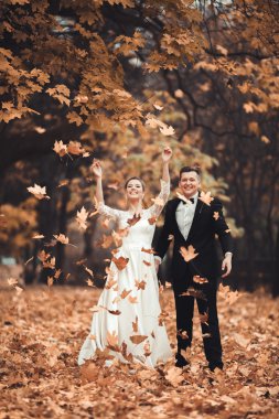 Lüks düğün çift, gelin ve damat park sonbaharda poz evli