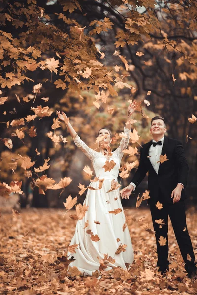 Pareja casada de lujo, novia y novio posando en el parque en otoño — Foto de Stock