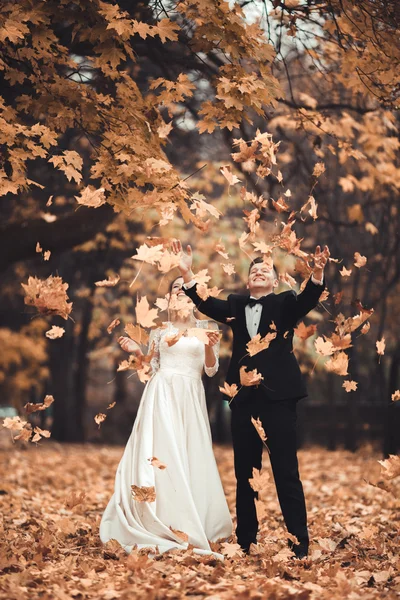 Couple de mariage marié de luxe, mariée et marié posant dans le parc automne — Photo