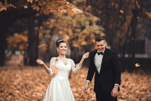 Lyxiga gift bröllopsparet, bruden och brudgummen poserar i park hösten — Stockfoto