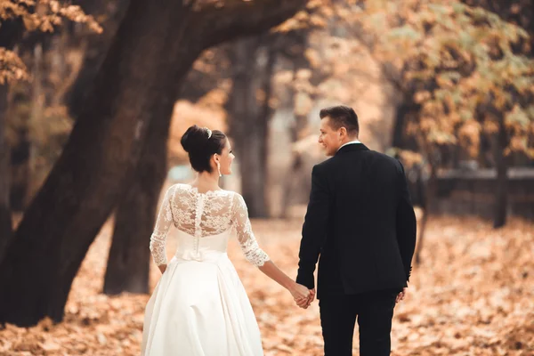 Luxury coppia di sposi sposati, sposa e sposo in posa nel parco autunno — Foto Stock