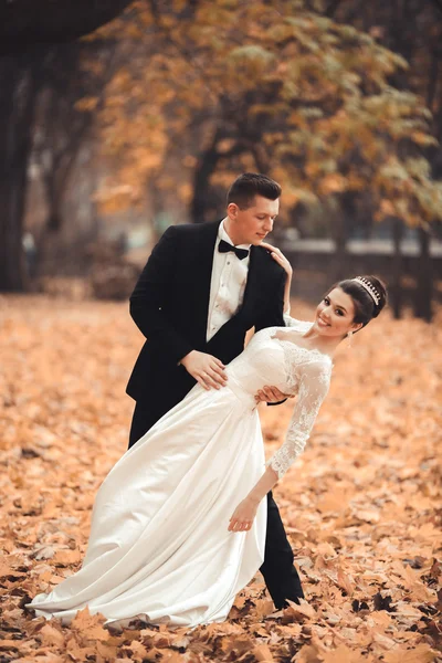 Luksus gift bryllup par, brud og brudgom poserer i parken efteråret - Stock-foto