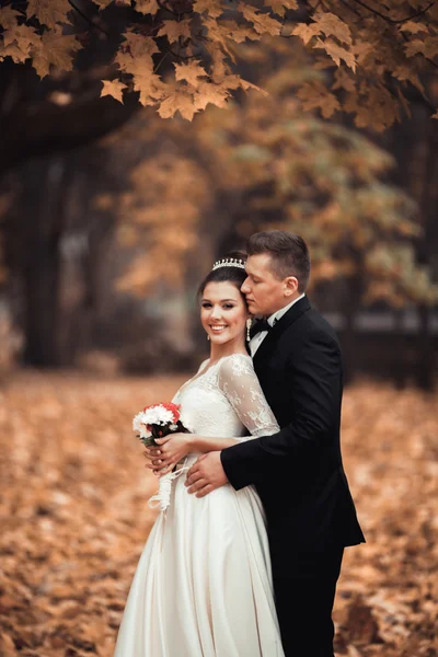 Couple de mariage marié de luxe, mariée et marié posant dans le parc automne — Photo