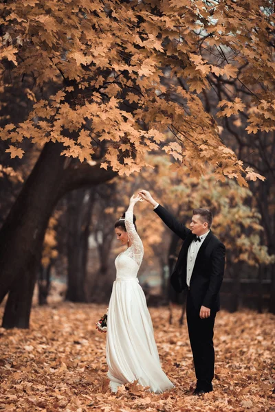 Luxury coppia di sposi sposati, sposa e sposo in posa nel parco autunno — Foto Stock