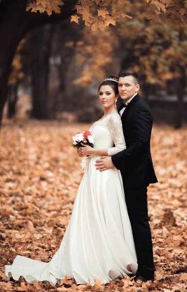 Luksusowe żonaty para ślub, Narzeczeni pozowanie w parku jesień — Zdjęcie stockowe