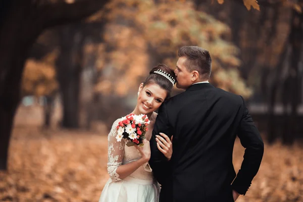 Luxury married wedding couple, bride and groom posing in park autumn — Stock Photo, Image