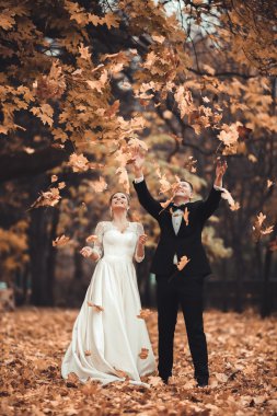 Lüks düğün çift, gelin ve damat park sonbaharda poz evli