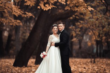 Lüks düğün çift, gelin ve damat park sonbaharda poz evli