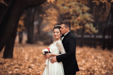 Lüks düğün çift, gelin ve damat park sonbaharda poz evli