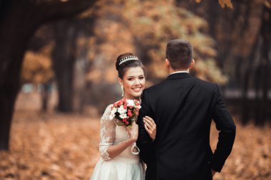 Lüks düğün çift, gelin ve damat park sonbaharda poz evli