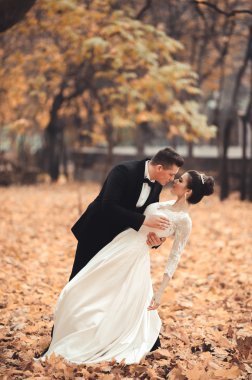 Lüks düğün çift, gelin ve damat park sonbaharda poz evli