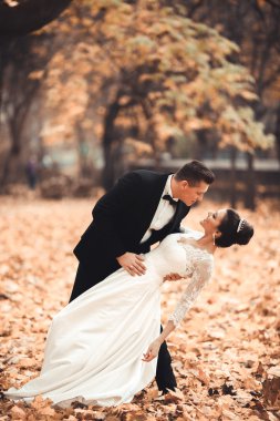 Lüks düğün çift, gelin ve damat park sonbaharda poz evli