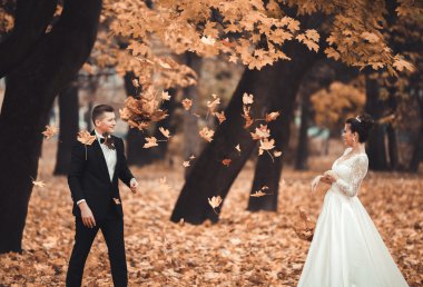 Lüks düğün çift, gelin ve damat park sonbaharda poz evli