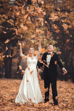 Lüks düğün çift, gelin ve damat park sonbaharda poz evli