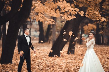 Lüks düğün çift, gelin ve damat park sonbaharda poz evli