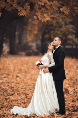 Lüks düğün çift, gelin ve damat park sonbaharda poz evli