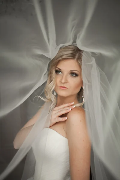 Porträt der schönen Braut mit Modeschleier am Hochzeitsmorgen. Brautkleid. — Stockfoto