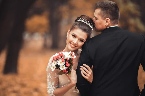 Couple de mariage marié de luxe, mariée et marié posant dans le parc automne — Photo