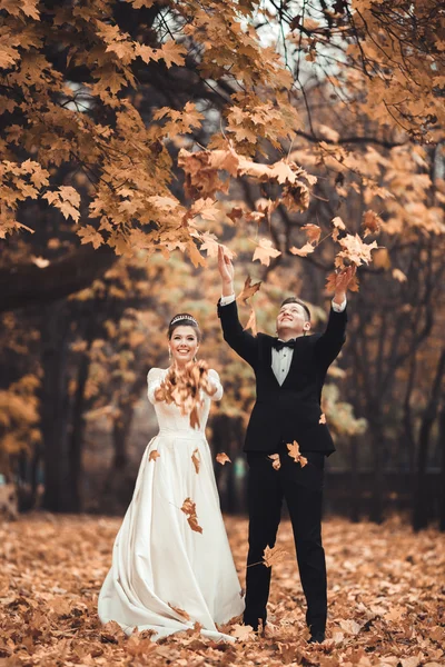 Pareja casada de lujo, novia y novio posando en el parque en otoño — Foto de Stock