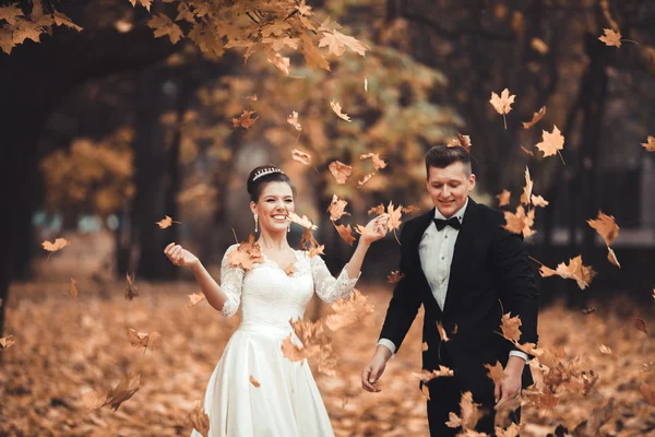 Luxury coppia di sposi sposati, sposa e sposo in posa nel parco autunno — Foto Stock