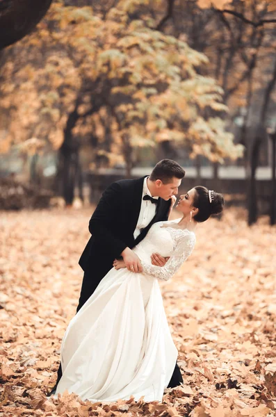 Luxury coppia di sposi sposati, sposa e sposo in posa nel parco autunno — Foto Stock