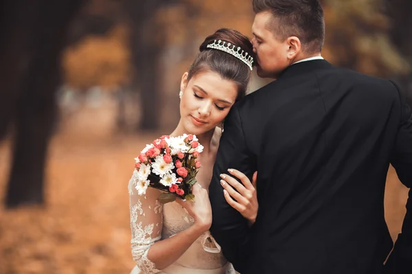 高級結婚結婚式のカップル公園秋のポーズ新郎新婦 — ストック写真