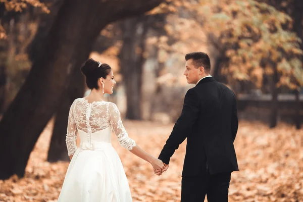 Luxe getrouwd huwelijkspaar, bruid en bruidegom poseren in het najaar van het park — Stockfoto