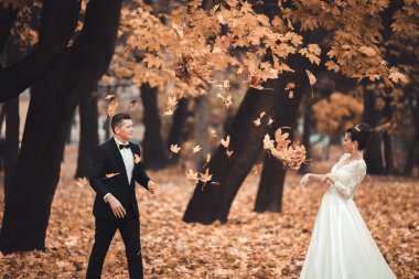 Lüks düğün çift, gelin ve damat park sonbaharda poz evli